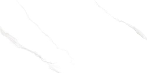 FY4821-2