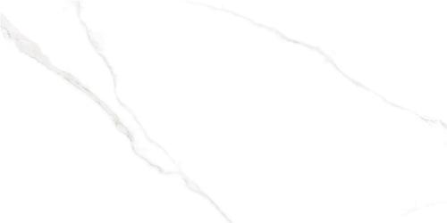 FY4821-5