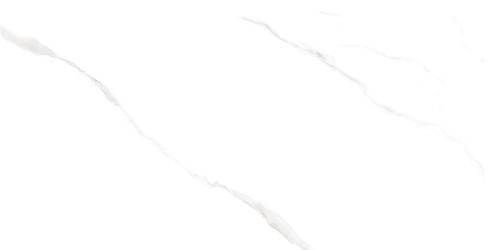FY4821-6