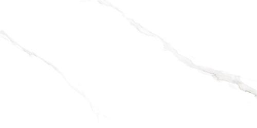 FY4821-4
