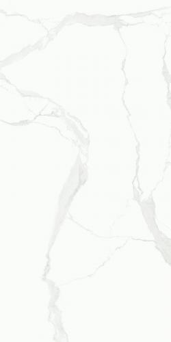 FP15712鱼肚白