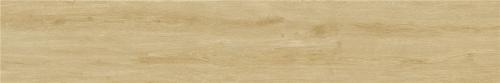 FM122J36-2-----200X1200mm