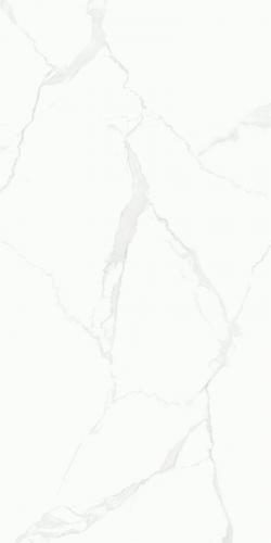 FP15712-2-鱼肚白