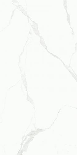 FP15712-3-鱼肚白