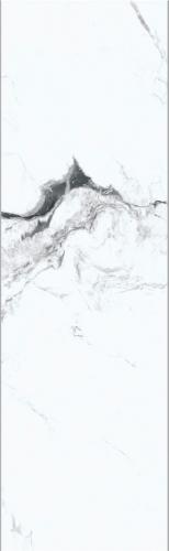 ZY826202_03