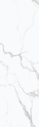 ZY826002_02