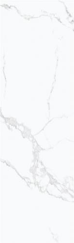 ZY826002_04