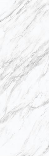 ZY826001_03
