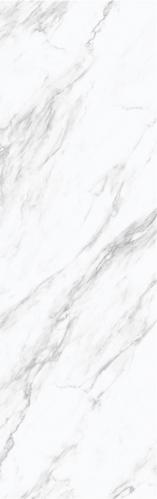 ZY826001_04