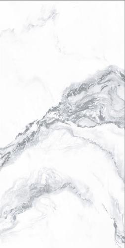 ZY1224201_02