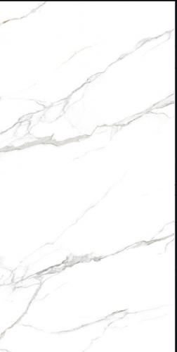 OQH24101拂晓_03