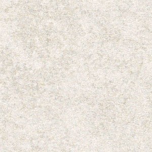 FZ33008