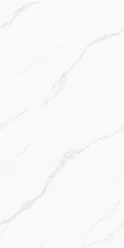 FP189018-2