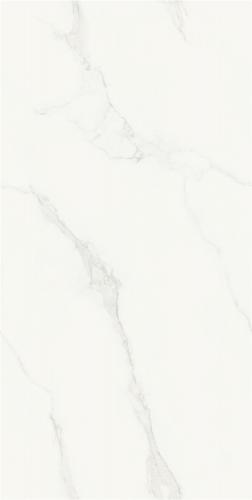 FP15737-2