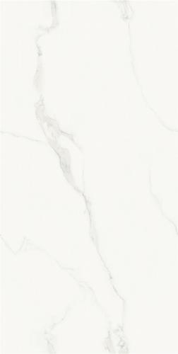FP15737-3