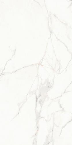 FB98R01B