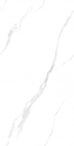 FP126TB21东方白