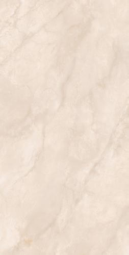 FP75Y65-3