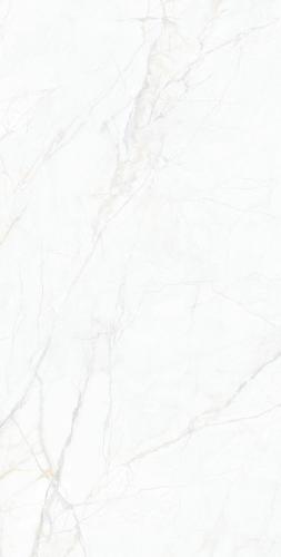 FP75Y67-2