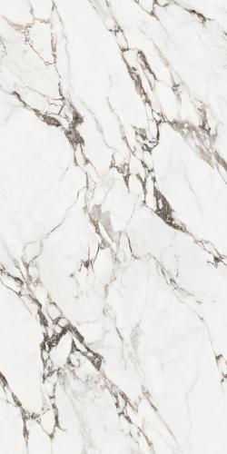 F62DK567-(2)