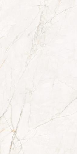 F62DK581-(2)