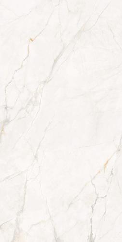 F62DK581-(3)