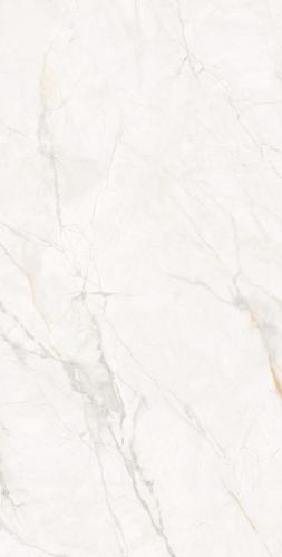 F62DK581-(4)