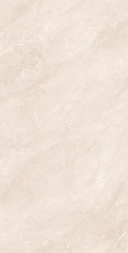 F98DK566--(2)