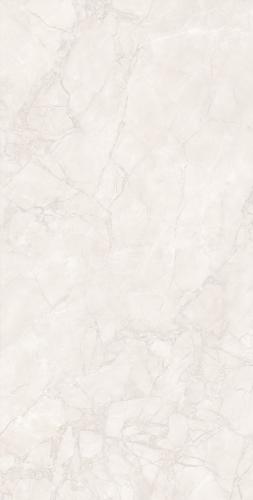F98DK582-(2)