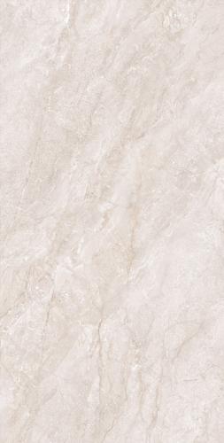 F62DK583-(2)