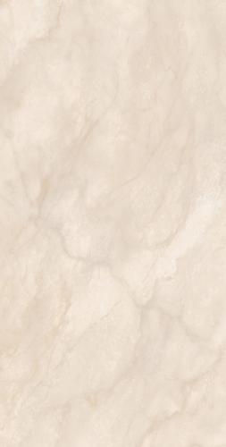 FP98Y65-1-(1)