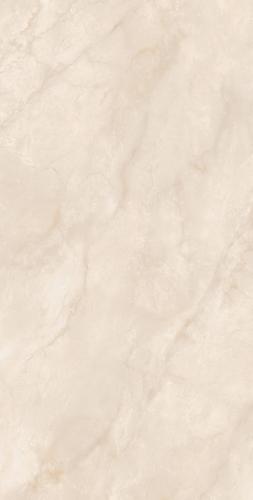 FP98Y65-1-(3)