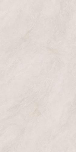 F75BP336-4