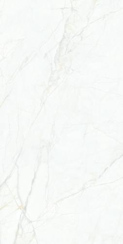 FP126067-(12)