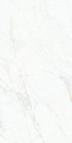 FP126067-(14)