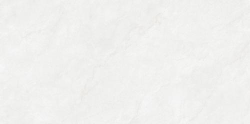 F48DP01-2