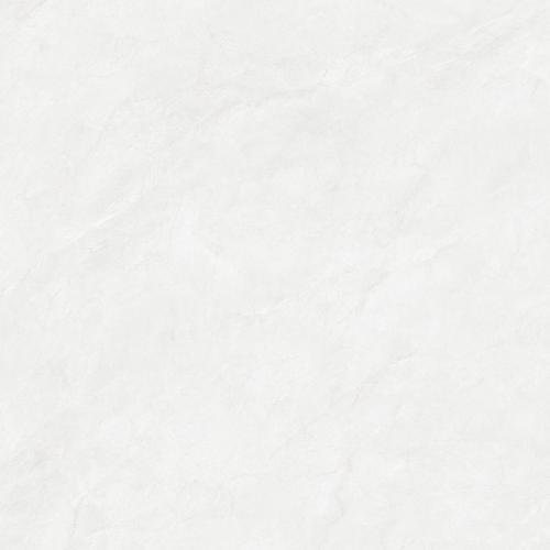 F80DP01-2