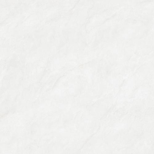 F80DP01-3