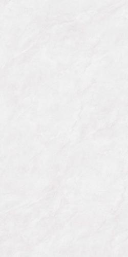 F75DP01-2