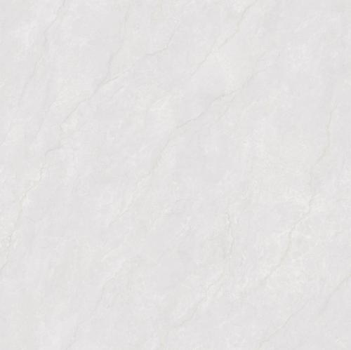 F80BP082-2