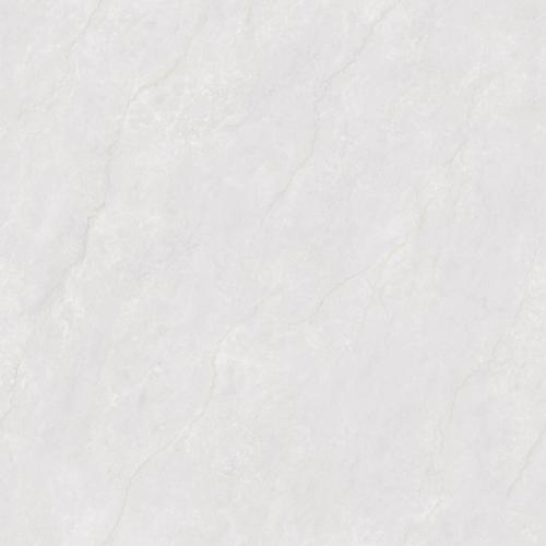 F80BP082-4