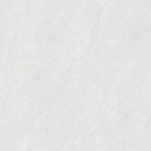 F80BP082-5