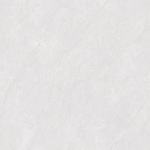 F80BP082-6