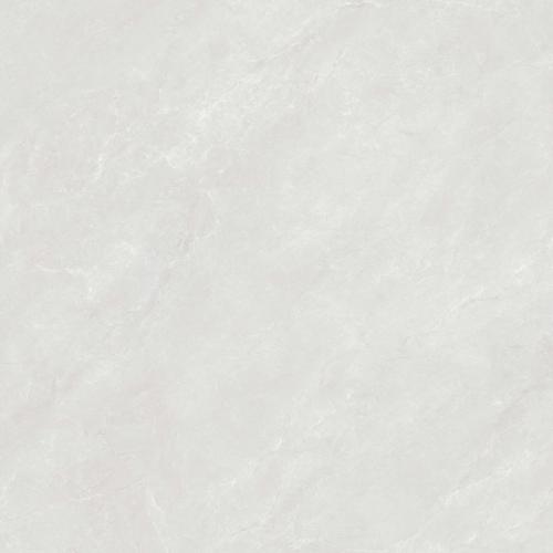F80BP336-2