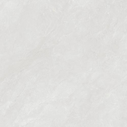 F80BP336-3