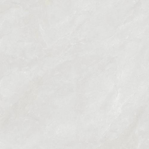 F80BP336-4