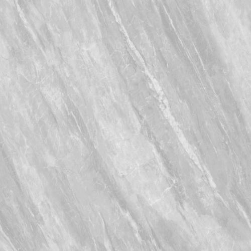 F80BP311-2